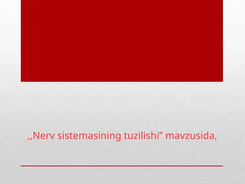 Nerv sistemasining tuzilishi 1