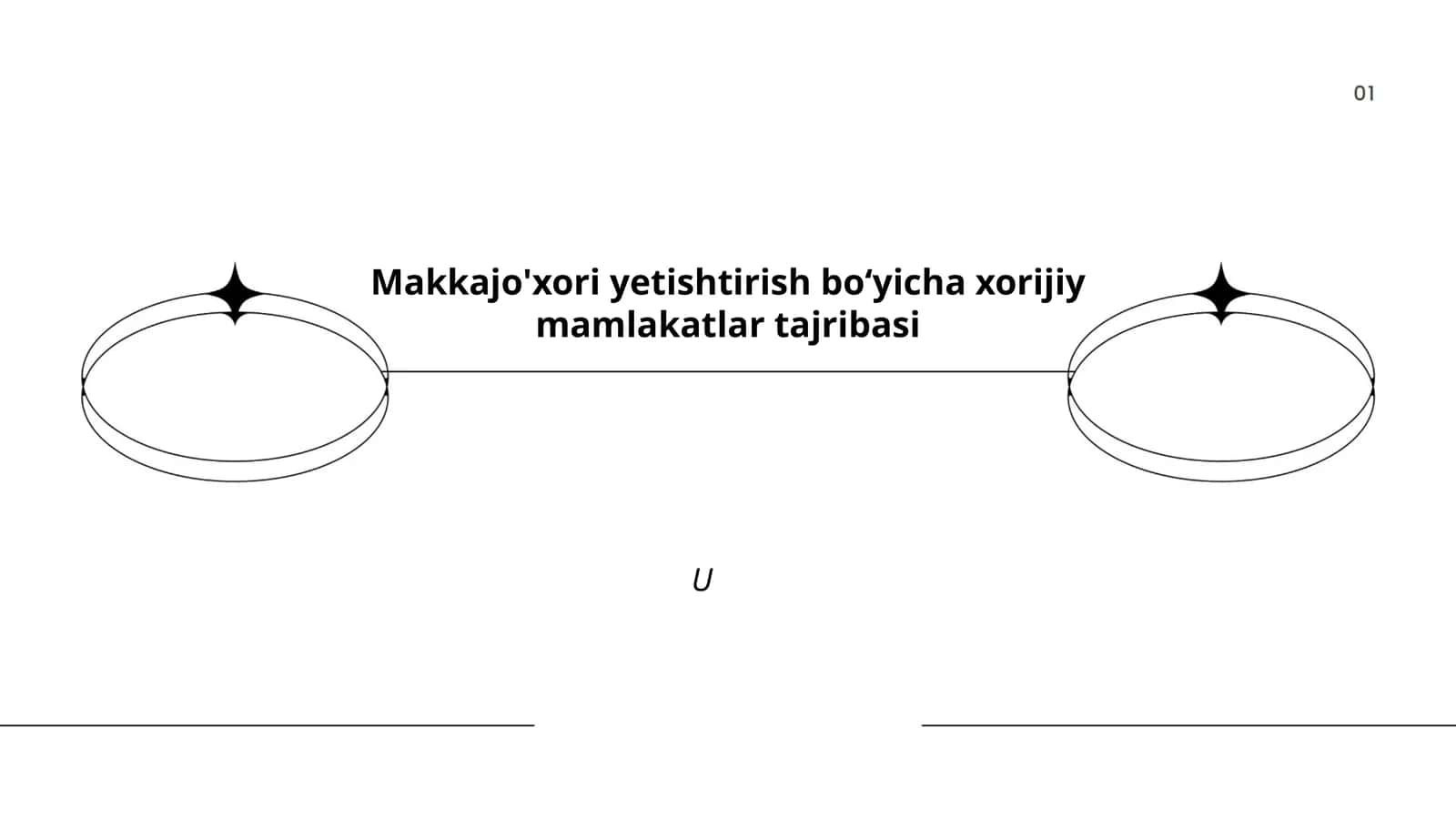 Makkajo'xori yetishtirish boʻyicha xorijiy mamlakatlar tajribasi 1