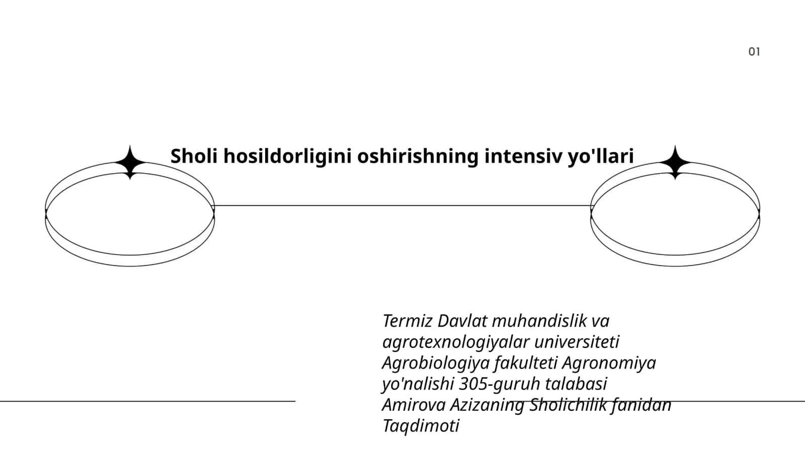 Sholi hosildorligini oshirishning intensiv yo'llari 1