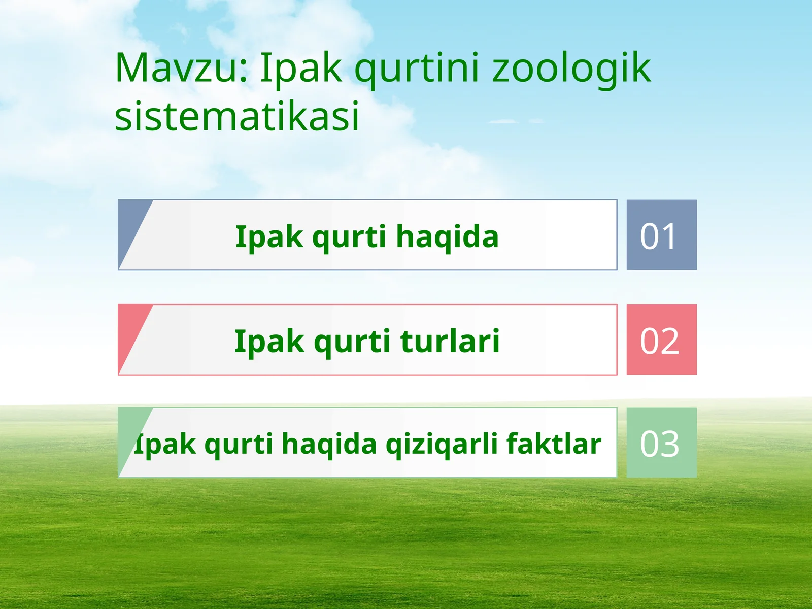 Ipak qurti haqida 1