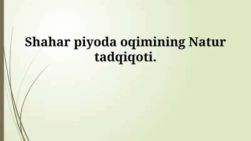 Shahar piyoda oqimining Natur tadqiqoti 1