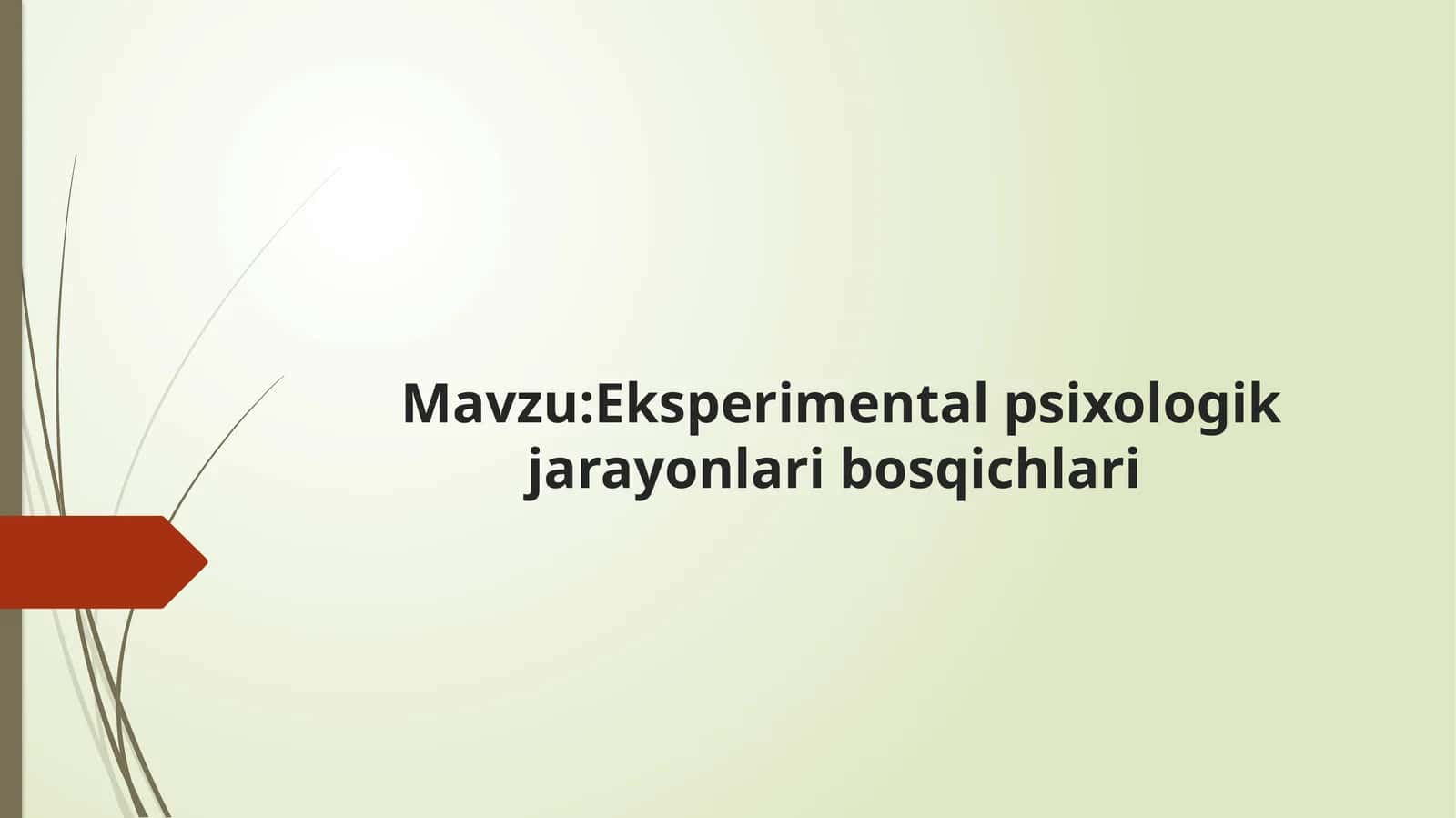 Eksperimentalpsixologik jarayonlaribosqichlari mavzusida tayyor taqdimot 1