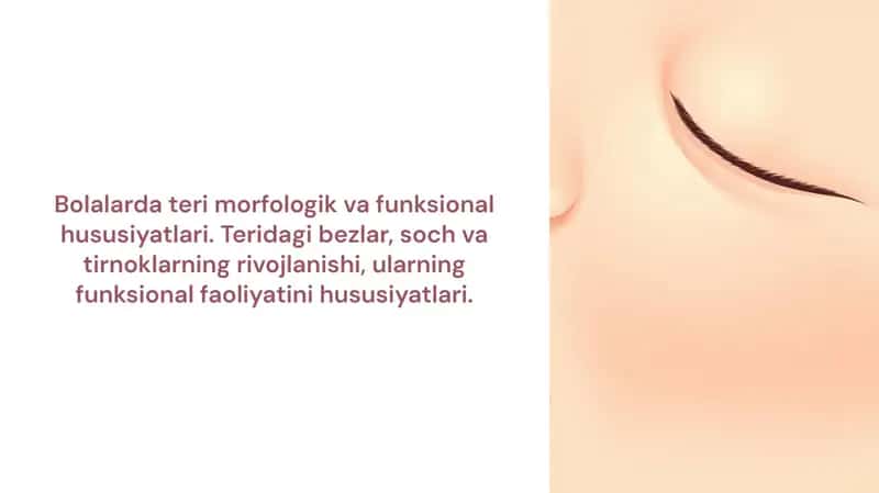 Bolalarda teri morfologik va funksional hususiyatlari. Teridagi bezlar, soch va tirnoklarning rivojlanishi, ularning funksional faoliyatini hususiyatlari. 1