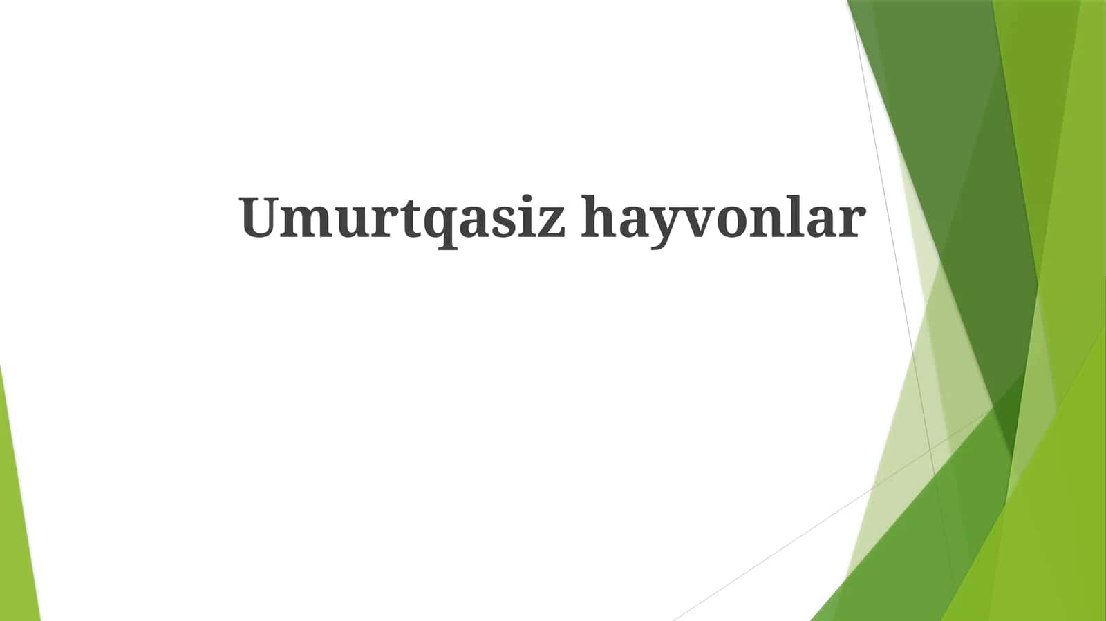 Umurtqasiz hayvonlar 1