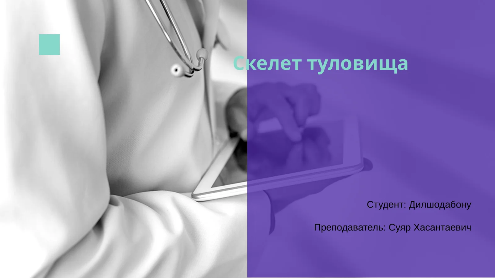 Скелет туловища 1