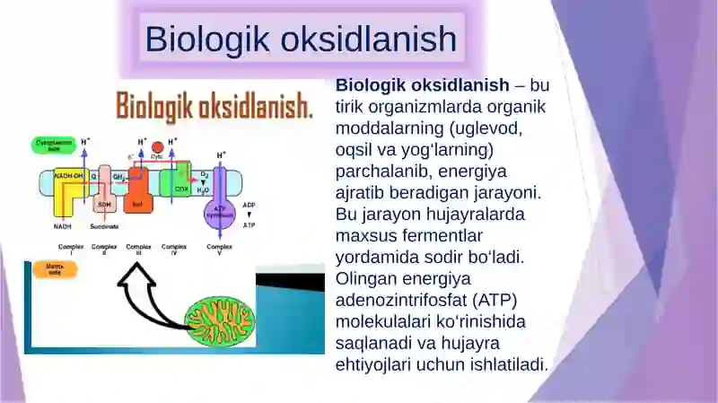 Biologik  oksidlanish