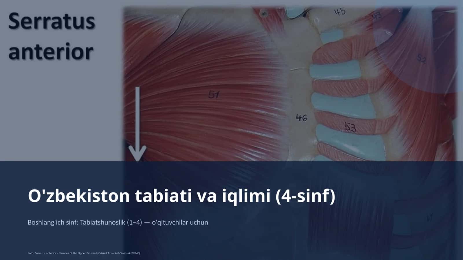 O'zbekiston tabiati va iqlimi (4-sinf) 1