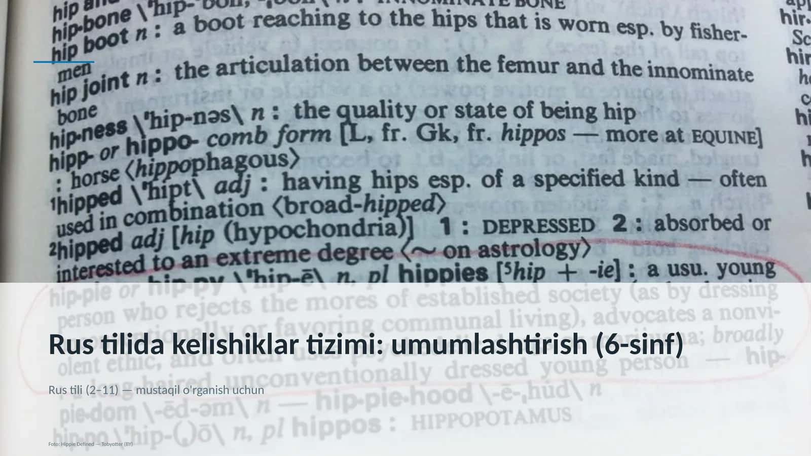 Rus tilida kelishiklar tizimi: umumlashtirish (6-sinf) 1