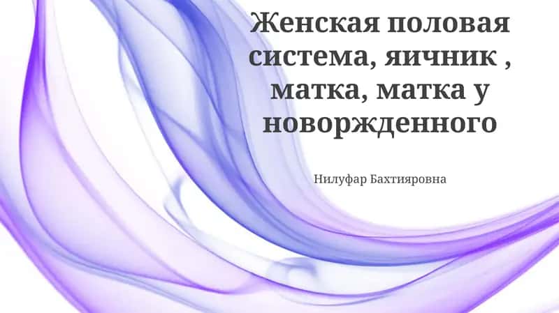 Женская половая система, яичник, матка, матка у новоржденного 1