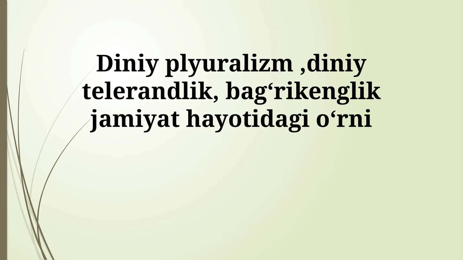 Diniy plyuralizm,diniy telerandlik, bagʻrikenglik jamiyat hayotidagi oʻrni 1