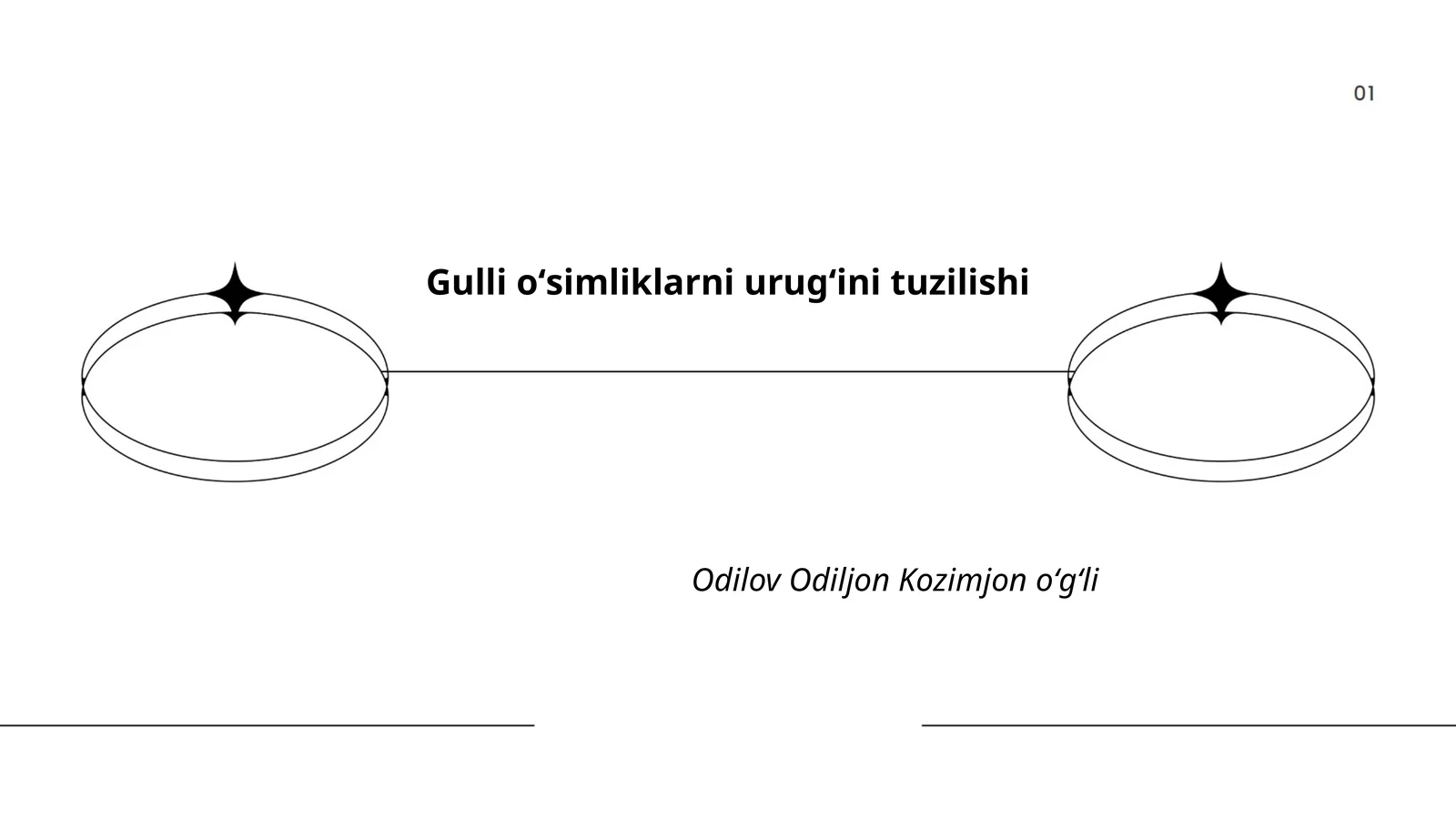 Gulli oʻsimliklarni urugʻini tuzilishi 1