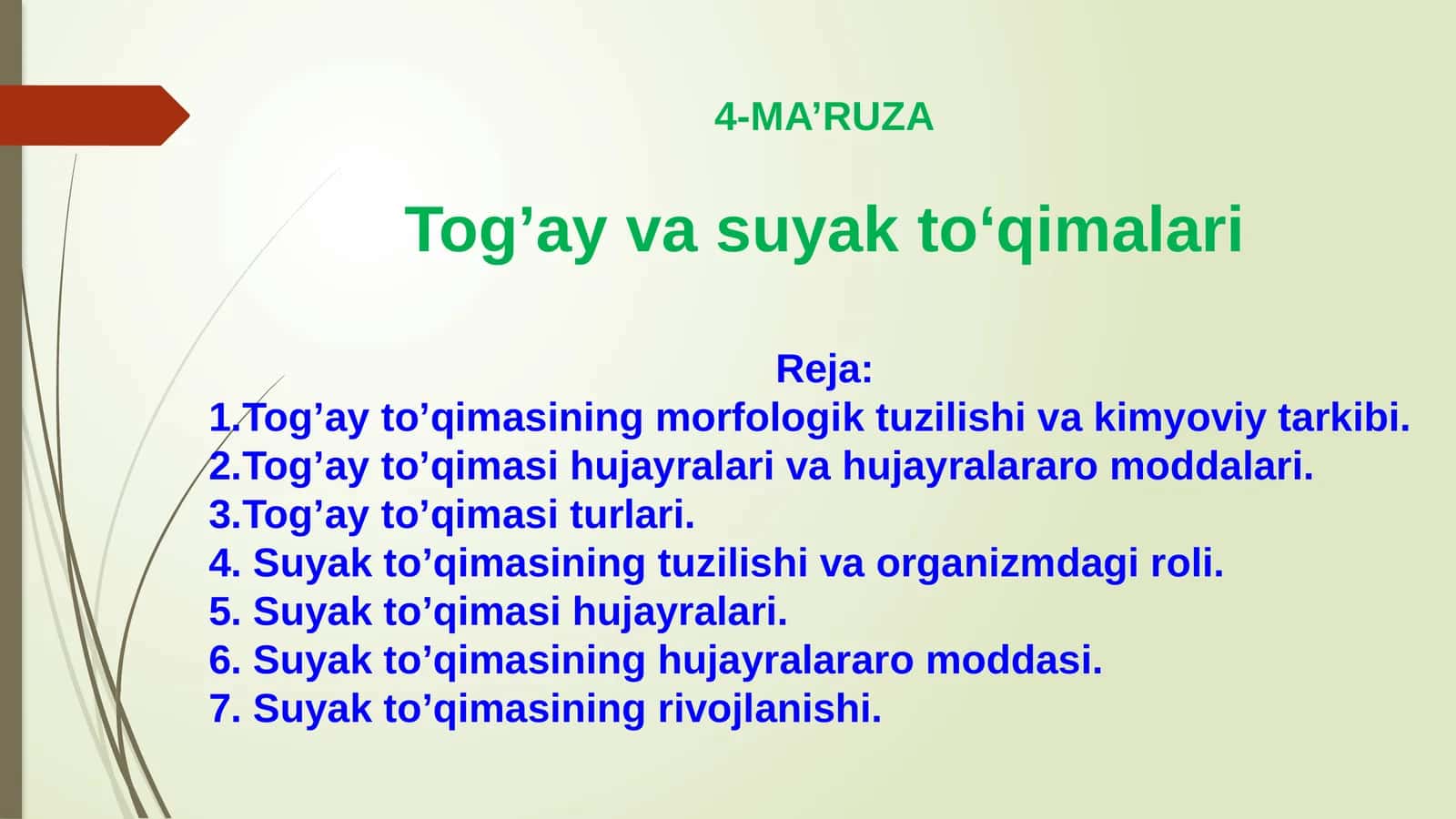 Tog’ay va suyak to’qimalari 1