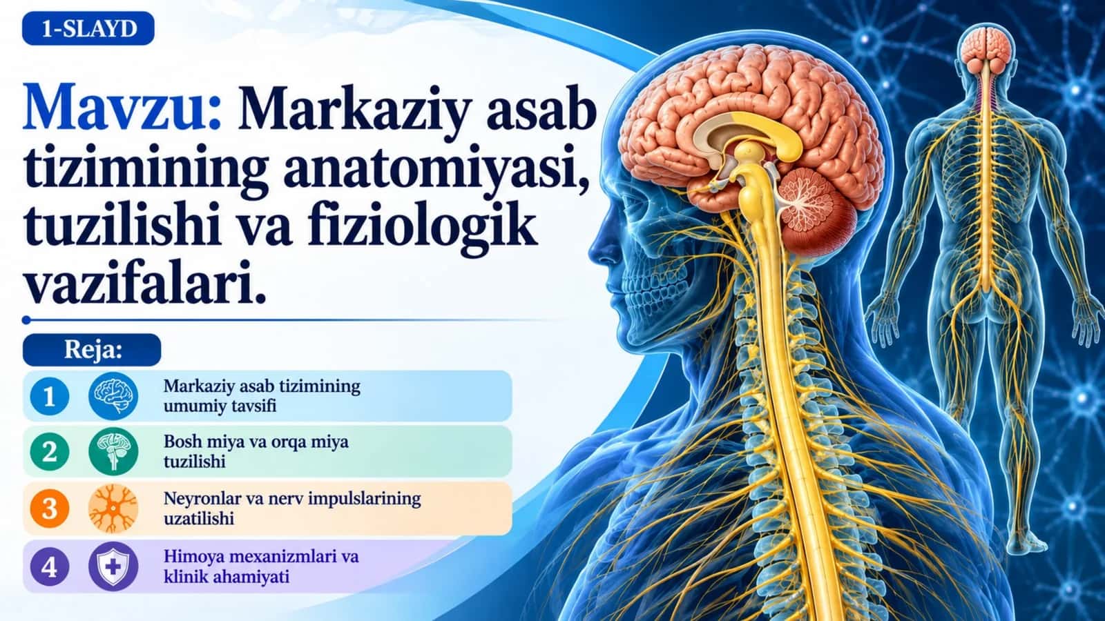 Markaziy asab tizimining anatomiyasi, tuzilishi va fiziologik vazifalari.pptx 1