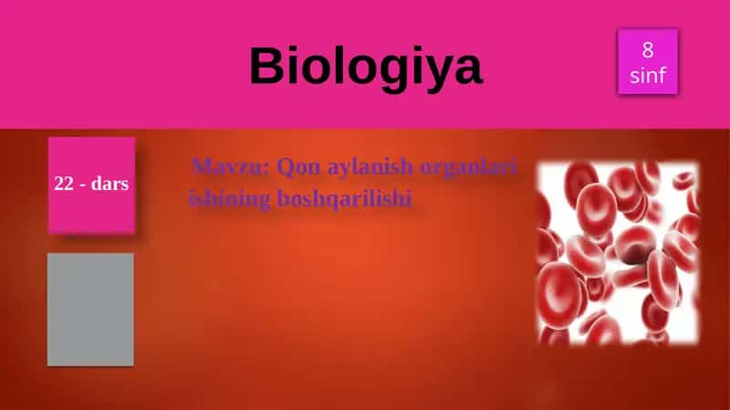 Qonaylanish organlari ishining boshqarilishi 1