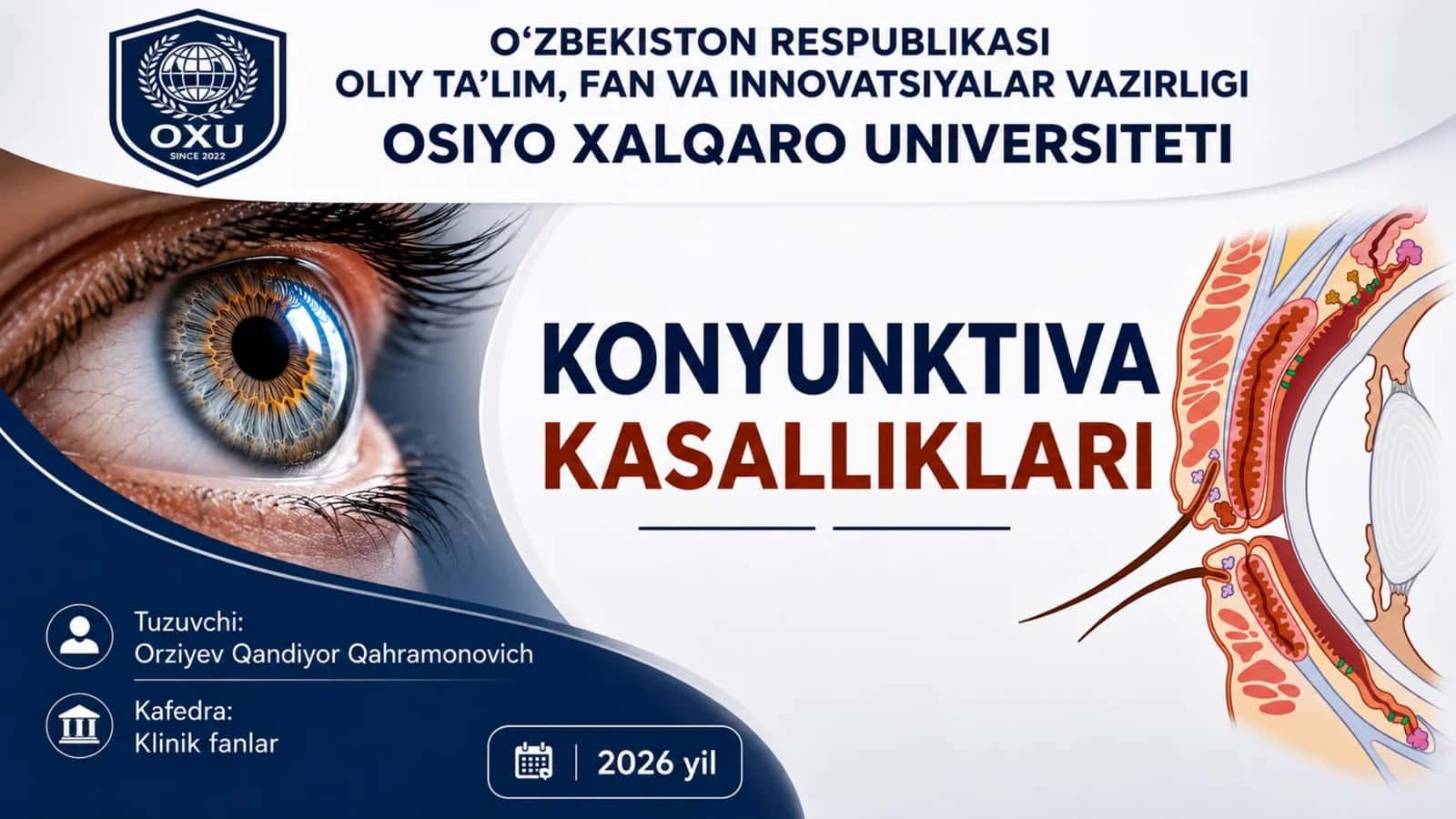 Kon'yunktiva anatomiyasi 1
