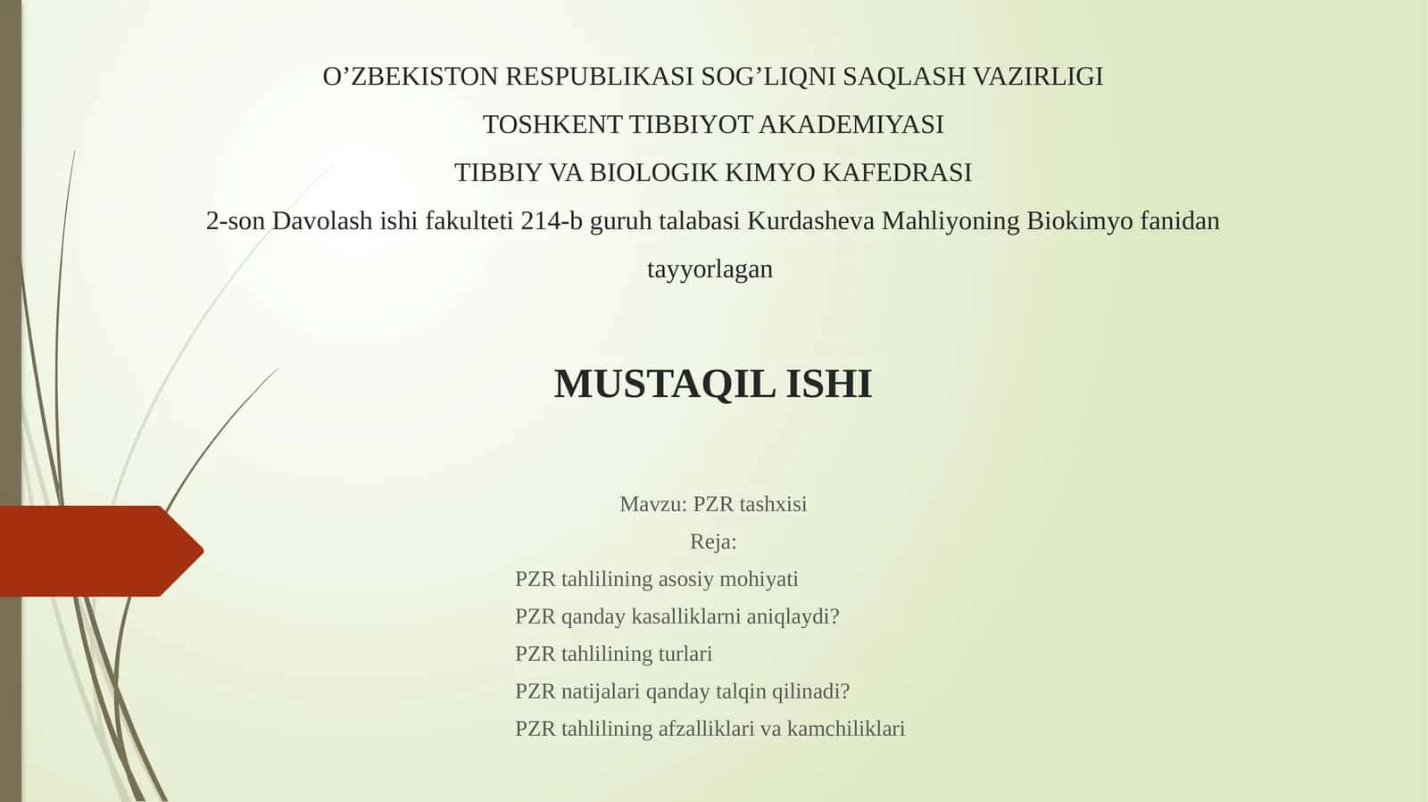 PZRtashxisi 1