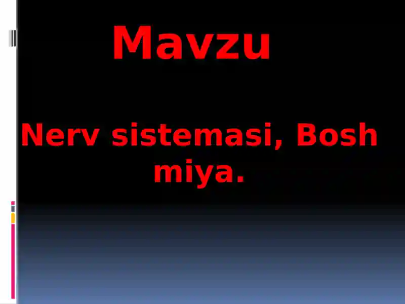 Nerv sistemasi, Bosh miya.