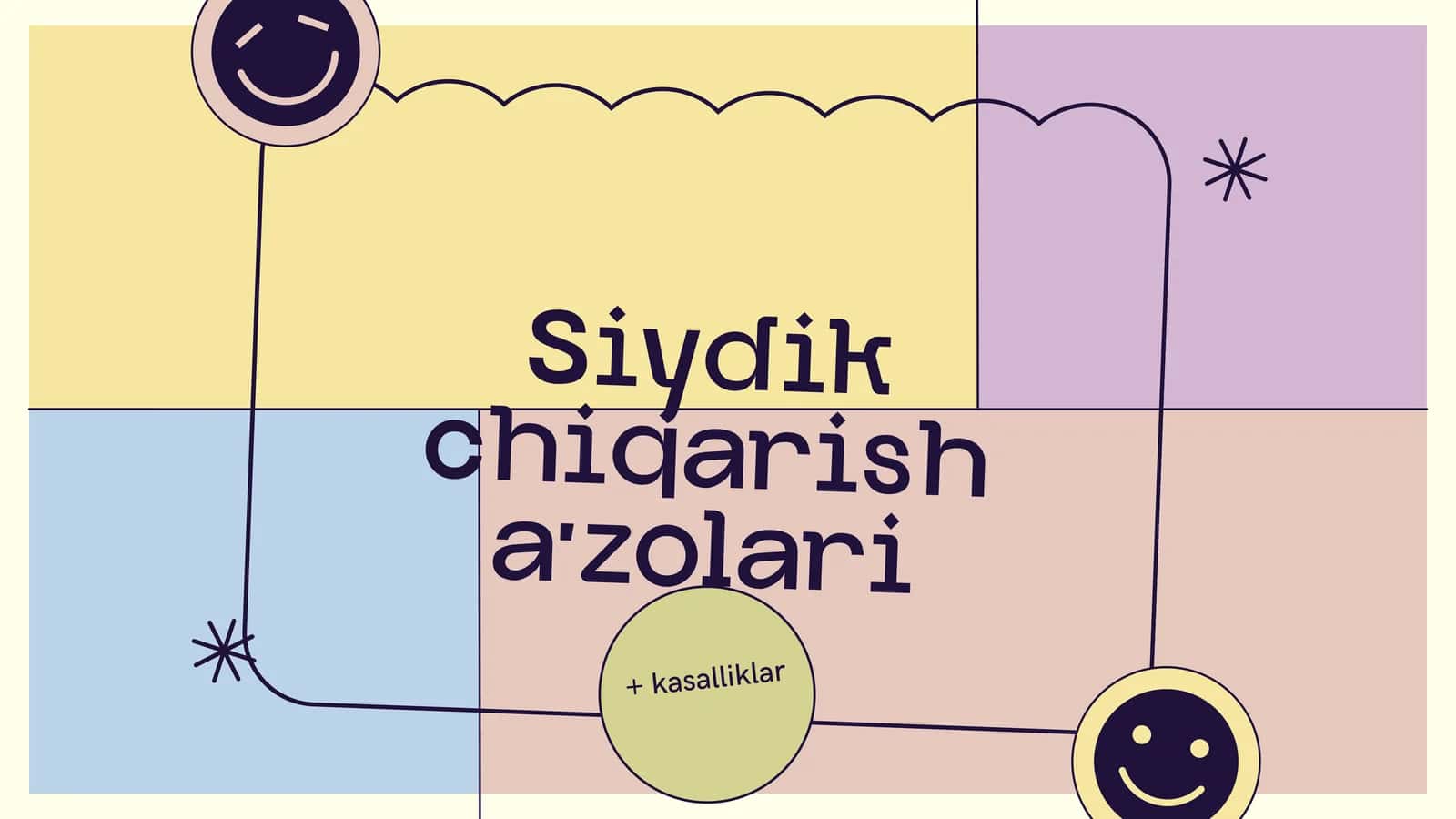 Siydik ajratish a'zolari va kasalliklari 1
