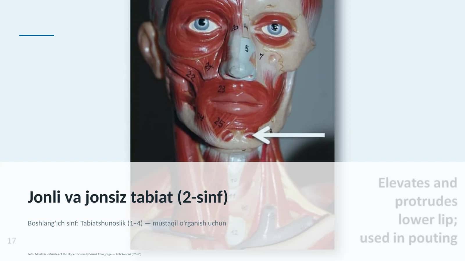 Jonli va jonsiz tabiat (2-sinf) 1
