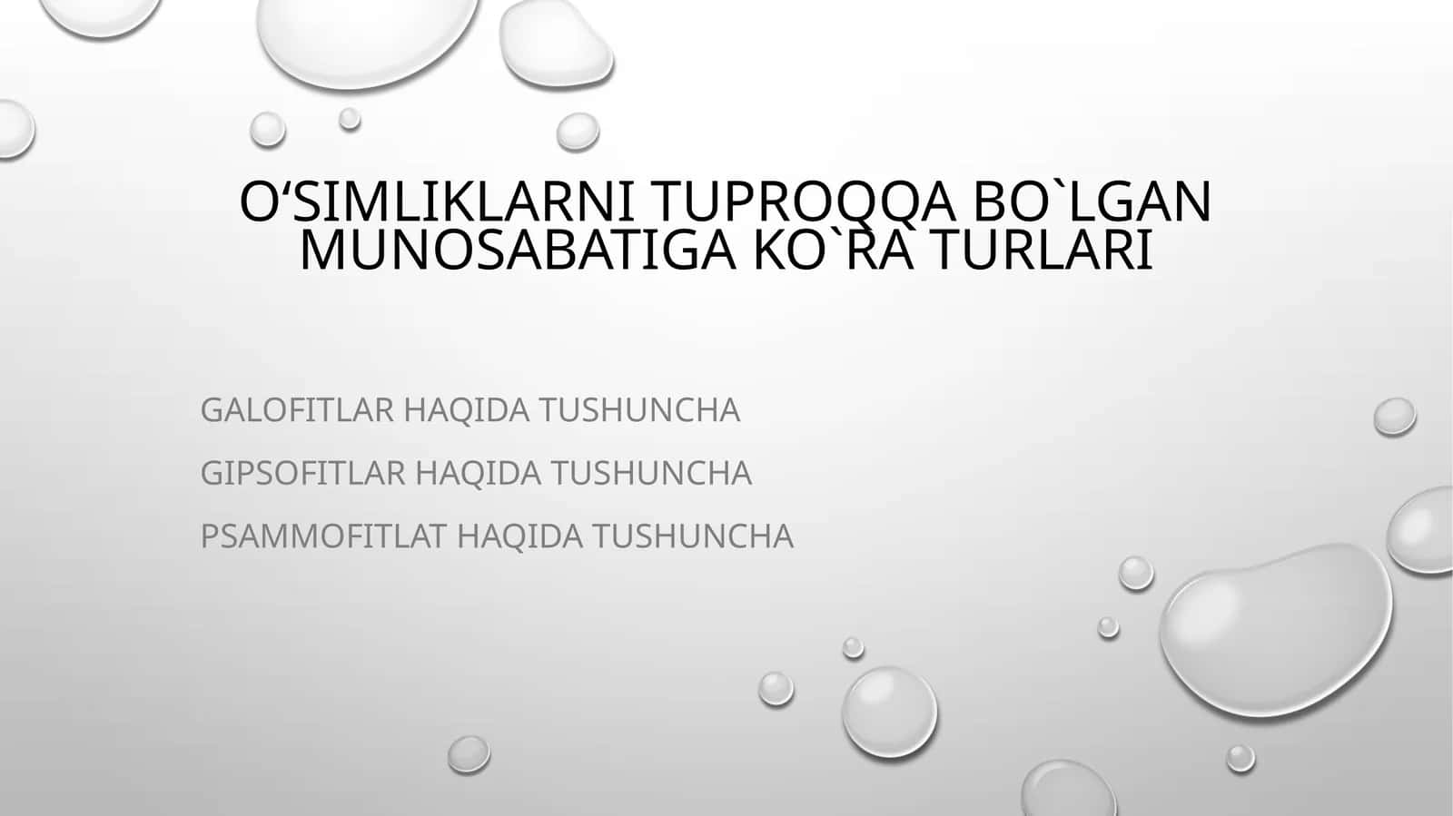 Qumli cho‘lda o‘suvchan yalpi 320 turning 174 tasi qumni sevuvchi 1