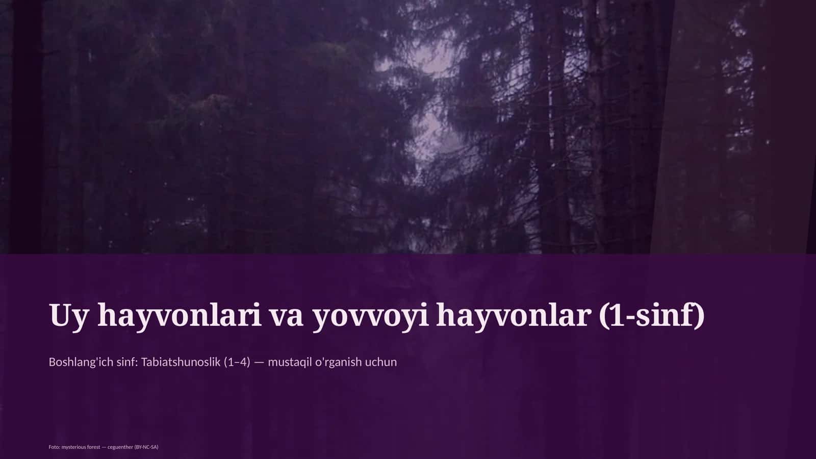 Uy hayvonlari va yovvoyi hayvonlar (1-sinf) 1