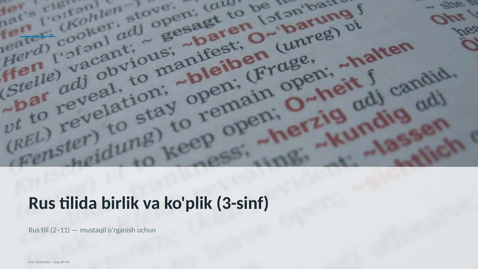 Rus tilida birlik va ko'plik (3-sinf) 1