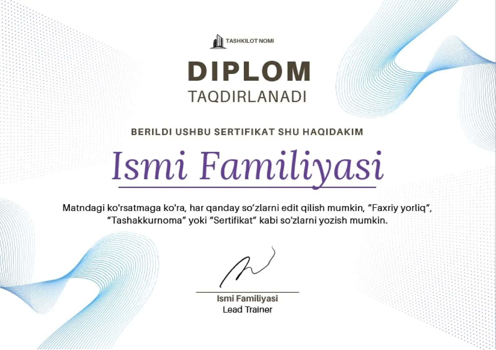 DIPLOM 1