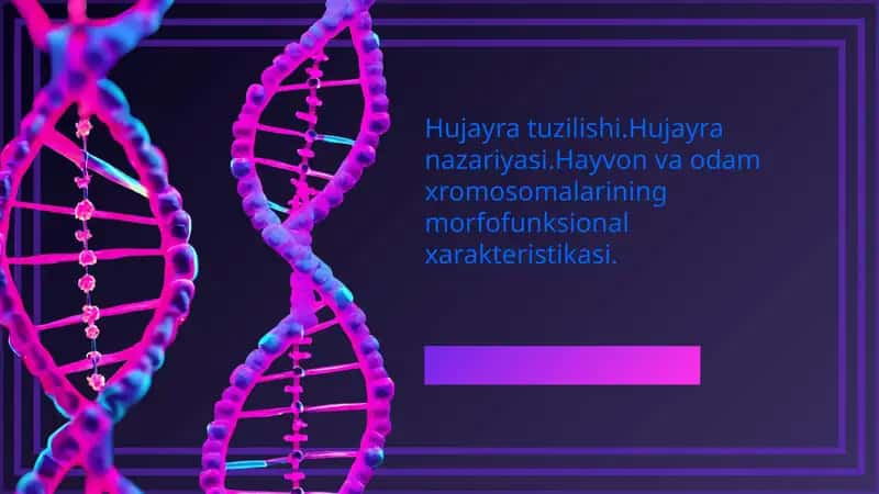 Hujayra tuzilishi.Hujayra nazariyasi.Hayvon va odam xromosomalarining morfofunksional xarakteristikasi. 1