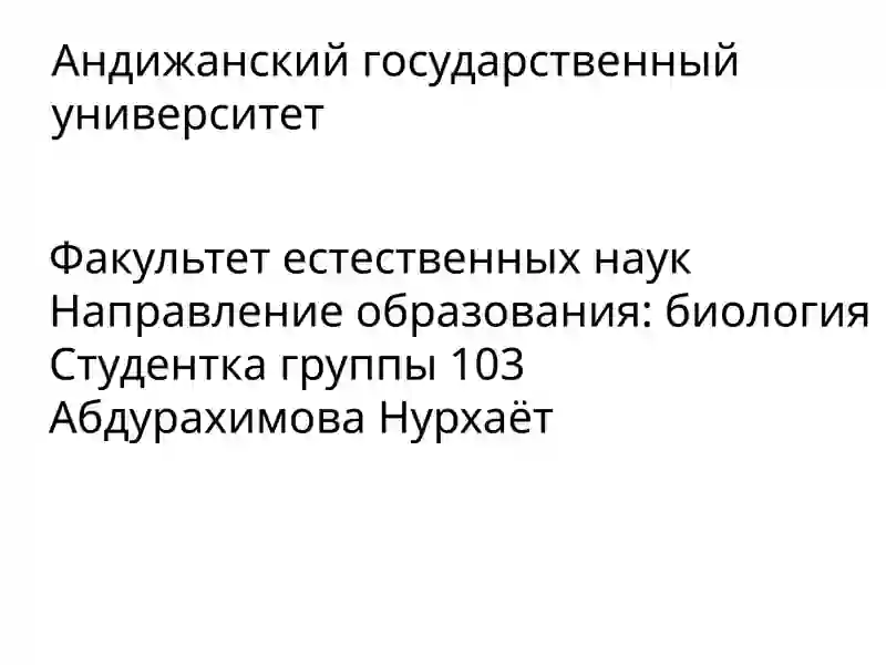 Лексика