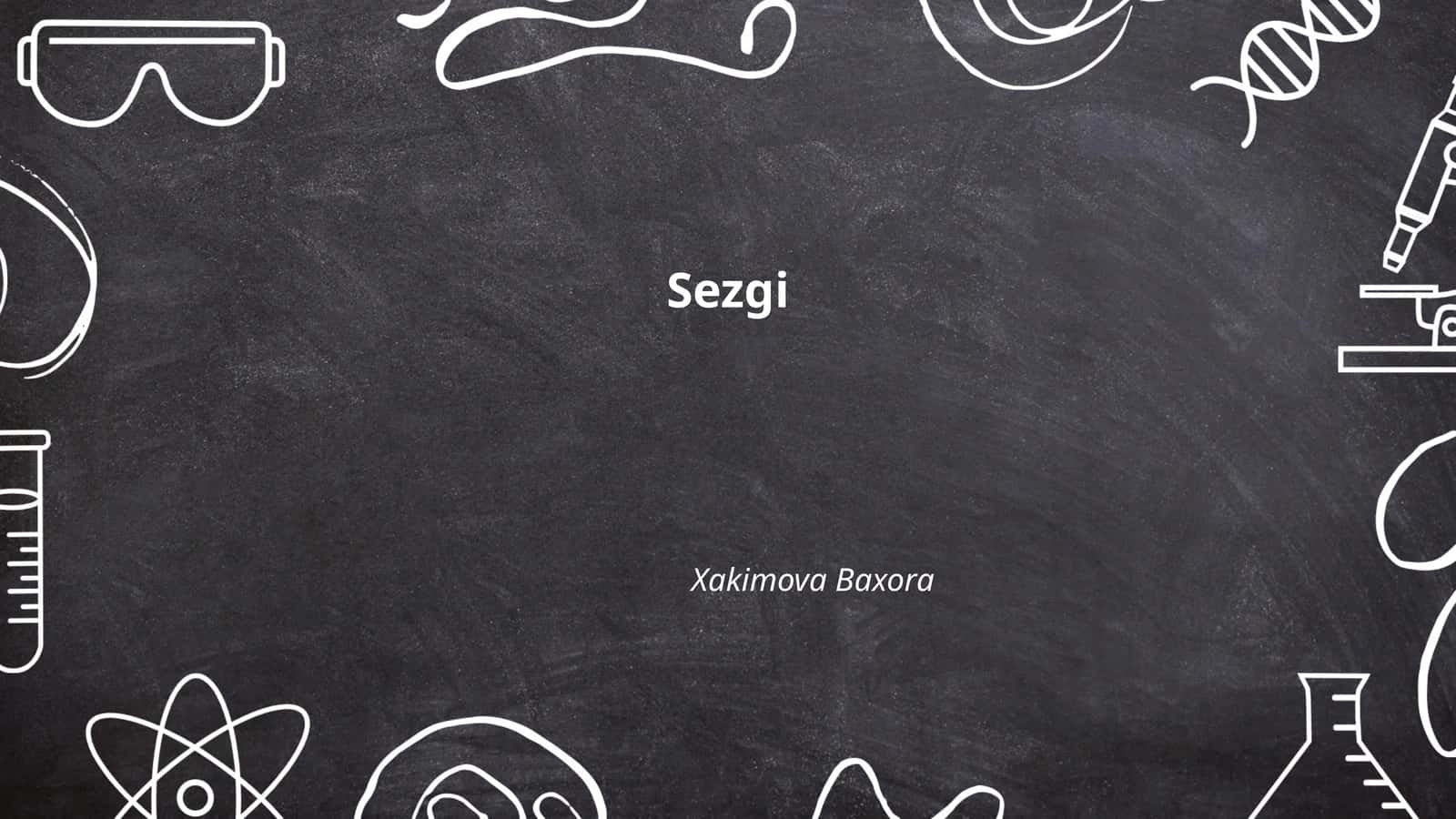 Sezgi 1