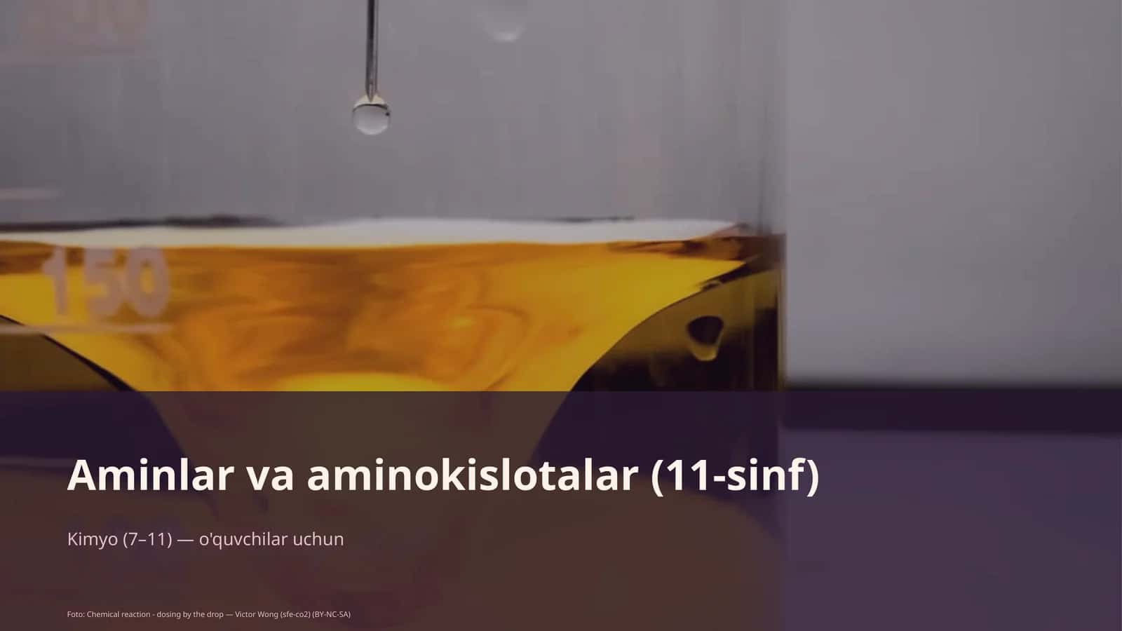 Aminlar va aminokislotalar (11-sinf) 1