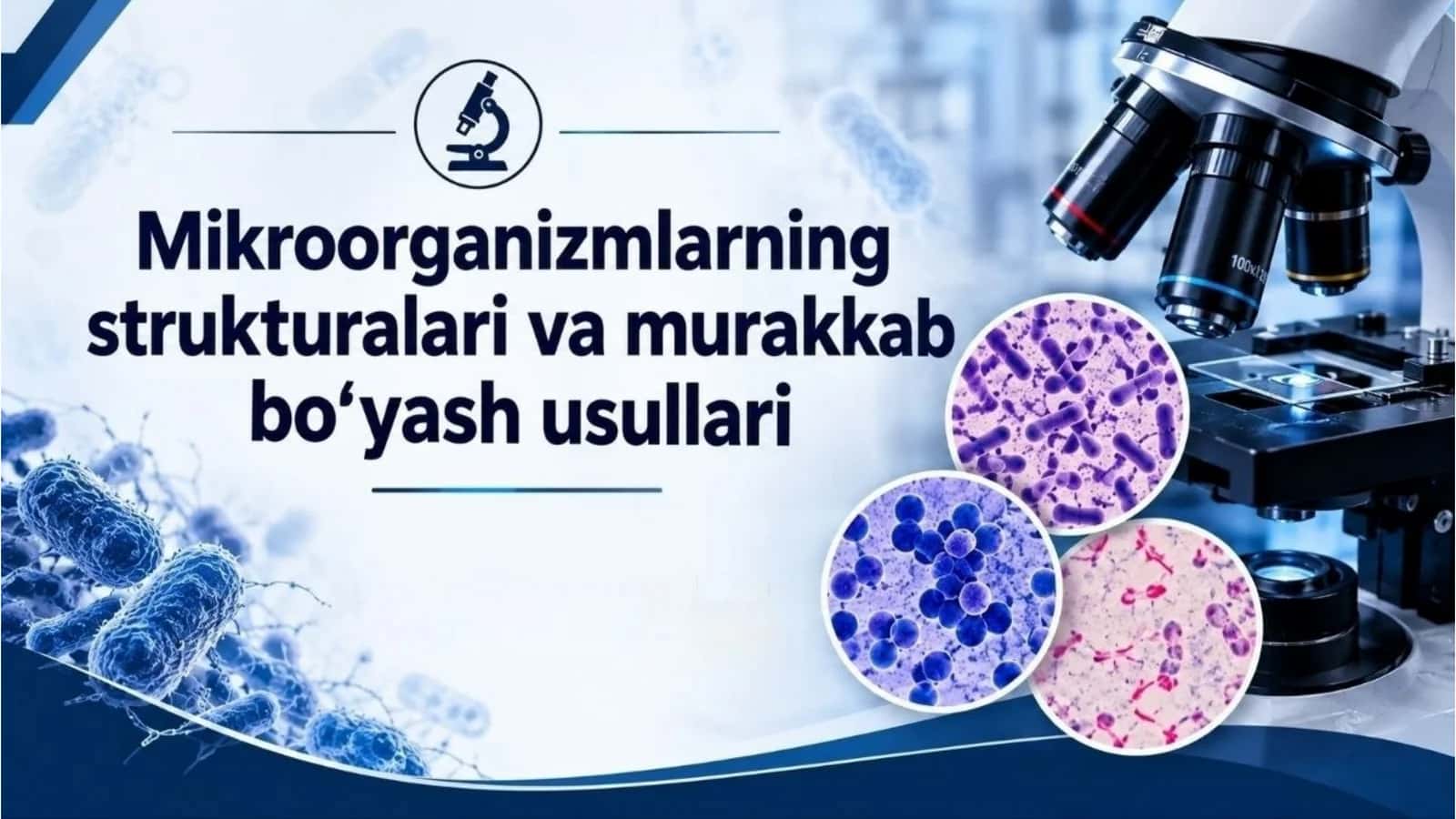 Bakteriya hujayrasi tuzilishi 1