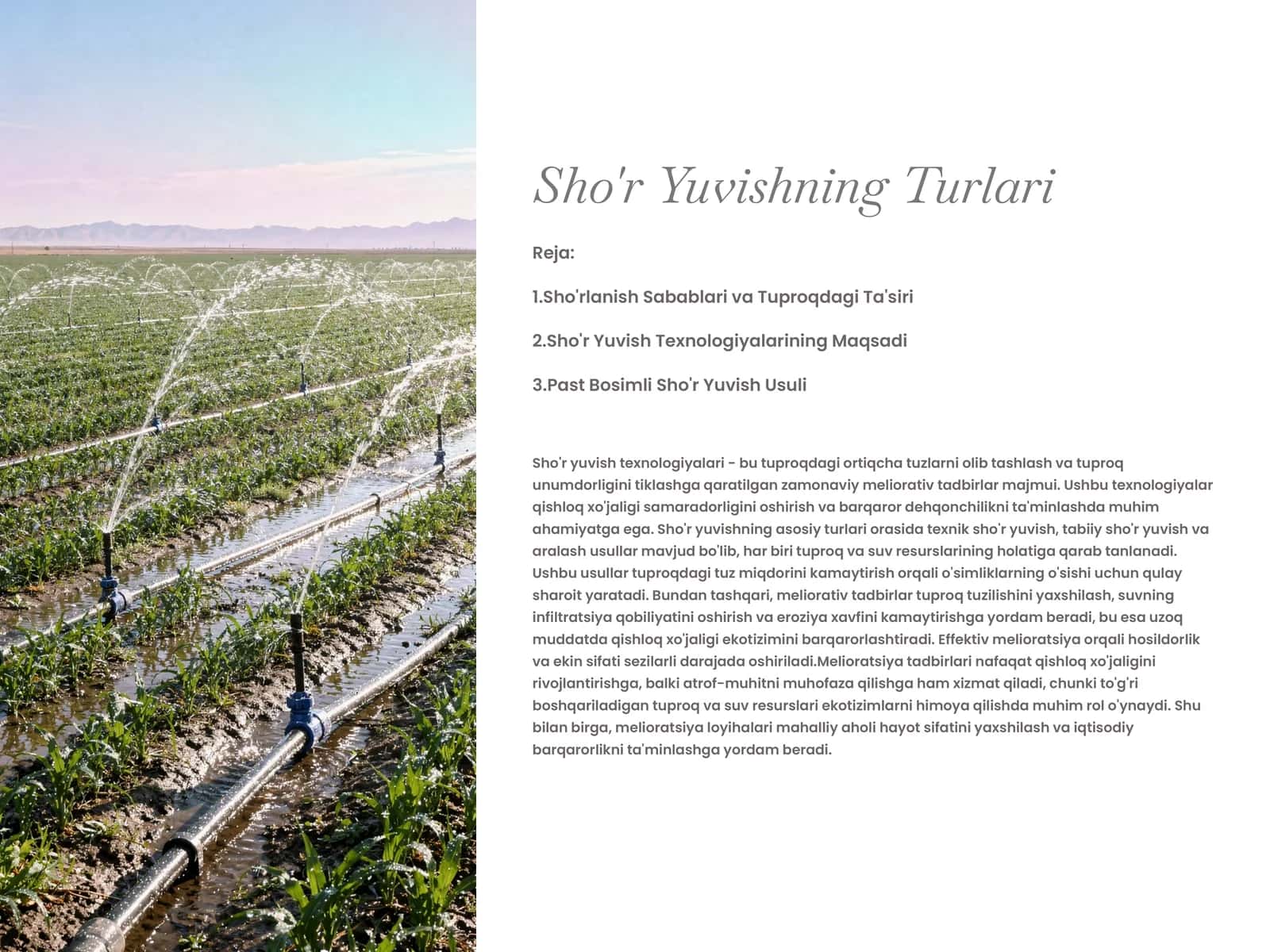 Sho'r Yuvishning Turlari 1