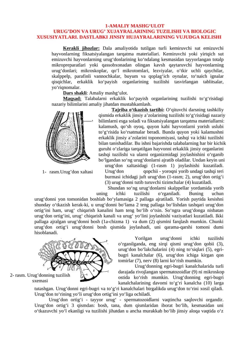 URUG’DON VA URUG’ XUJAYRALARINING TUZILISHI VA BIOLOGIC XUSUSIYATLARI 1