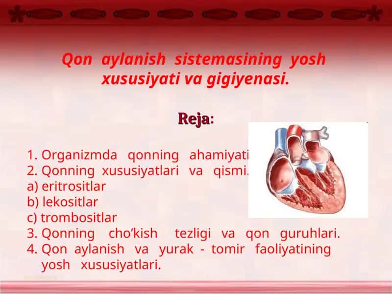 Qon aylanishsistemasining yosh xususiyati va gigiyenasi 1