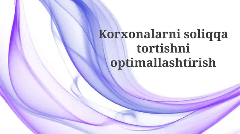 Soliq optimallashtirish 1