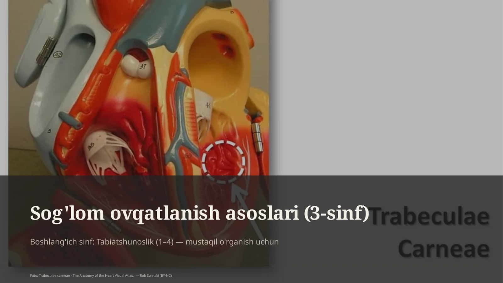 Sog'lom ovqatlanish asoslari (3-sinf) 1