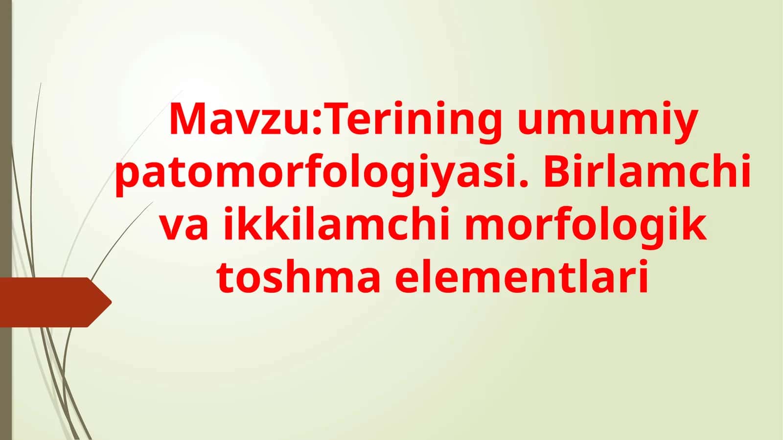 Terining umumiy patologiyasi. Birlamchi va ikkilamchi morfologik toshma elementlari 1