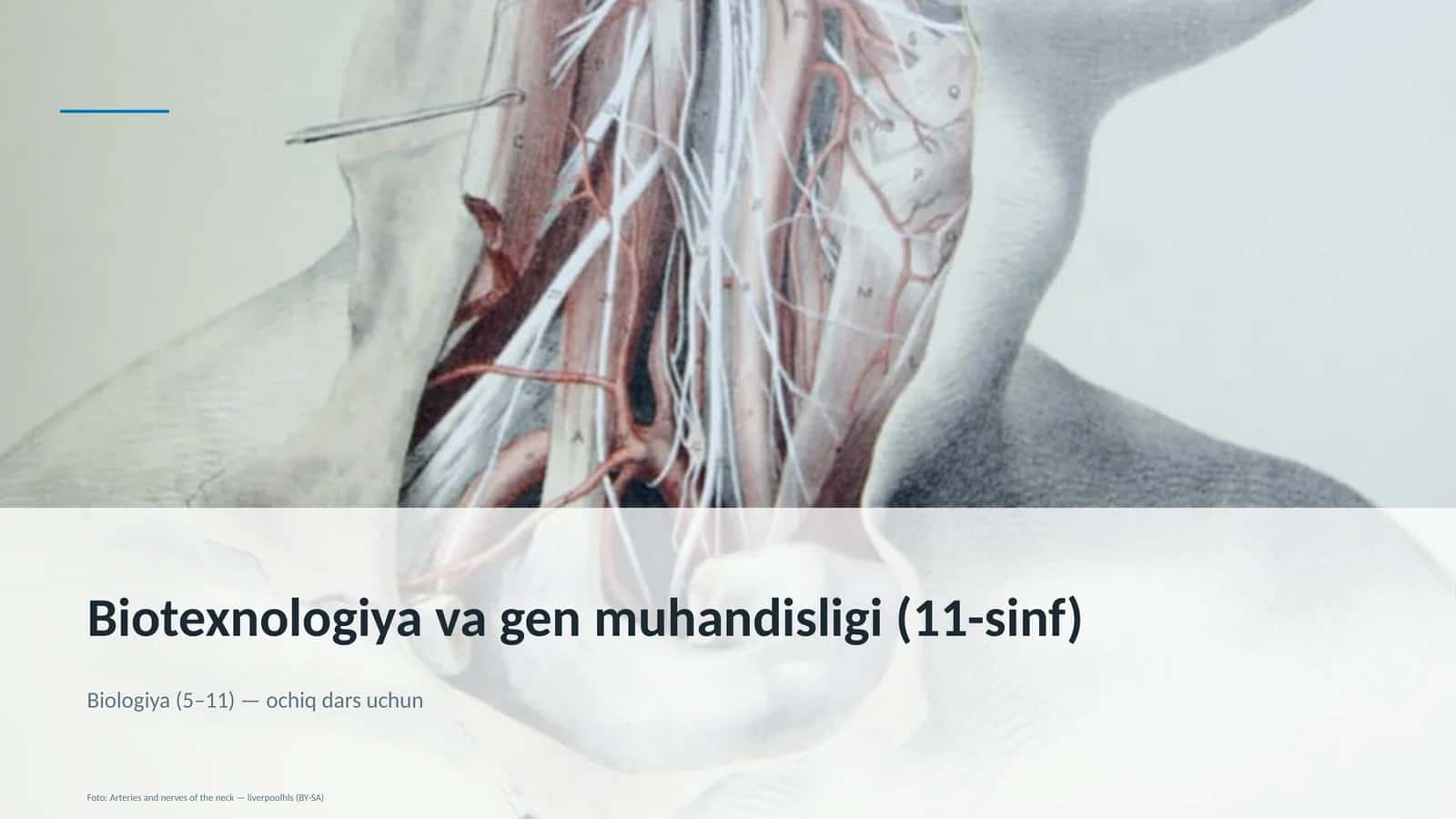 Biotexnologiya va gen muhandisligi (11-sinf) 1
