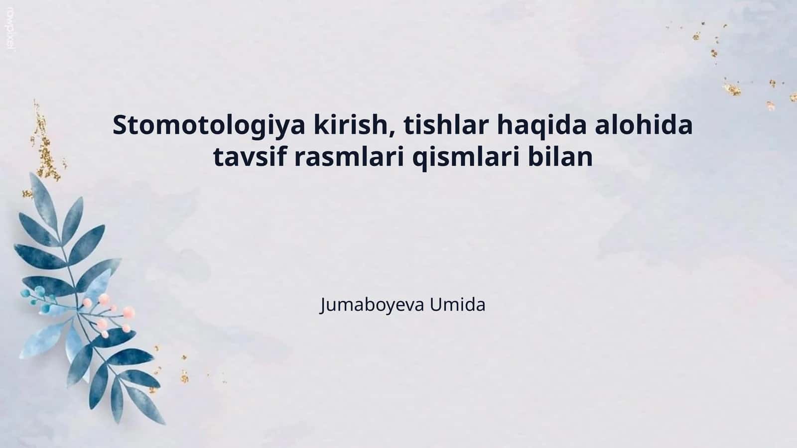 Stomotologiya kirish, tishlar haqida alohida tavsif rasmlari qismlari bilan 1