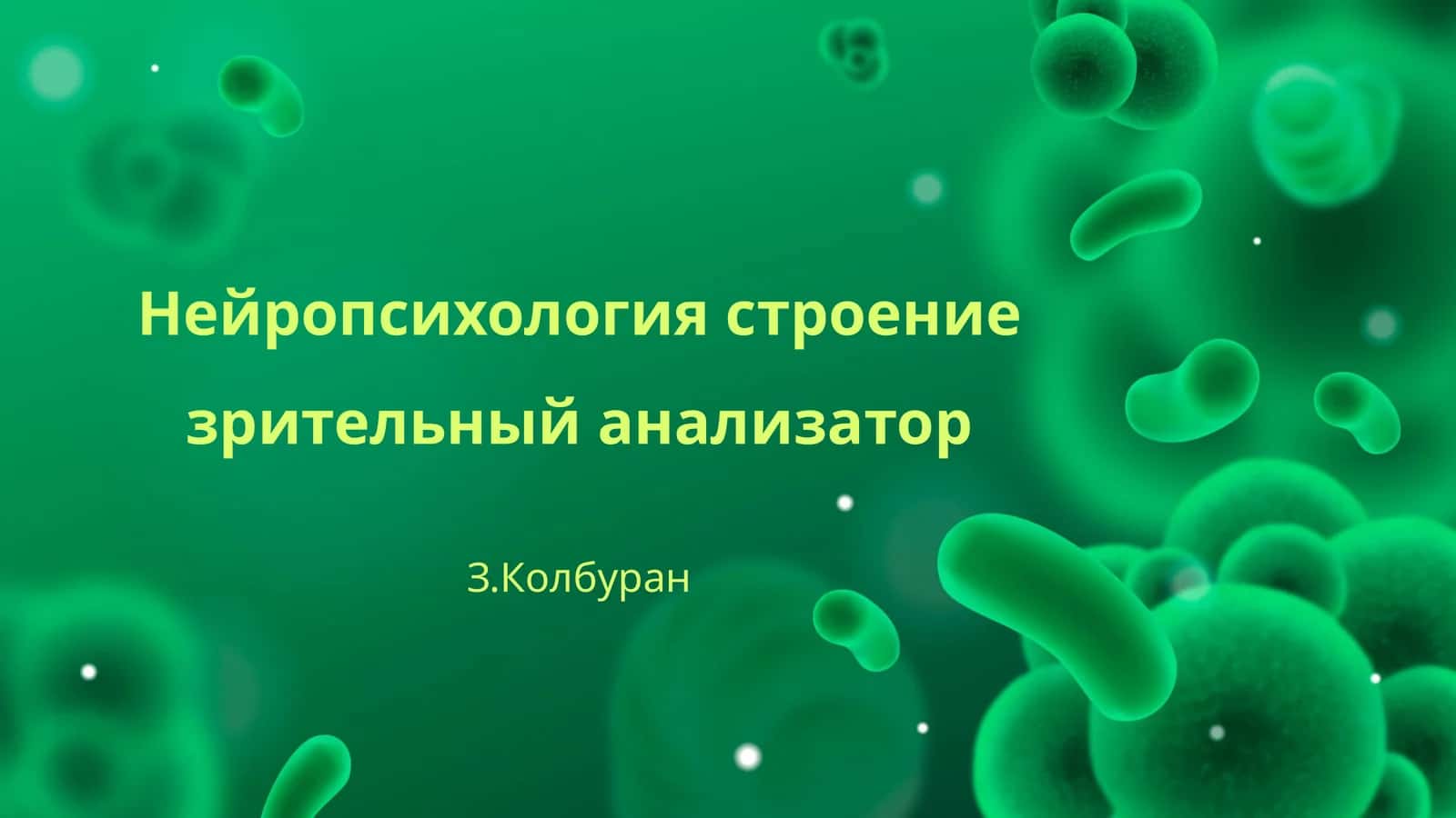 Нейропсихология строение зрительный анализатор 1