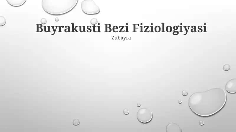 Buyrakusti Bezi Fiziologiyasi 1