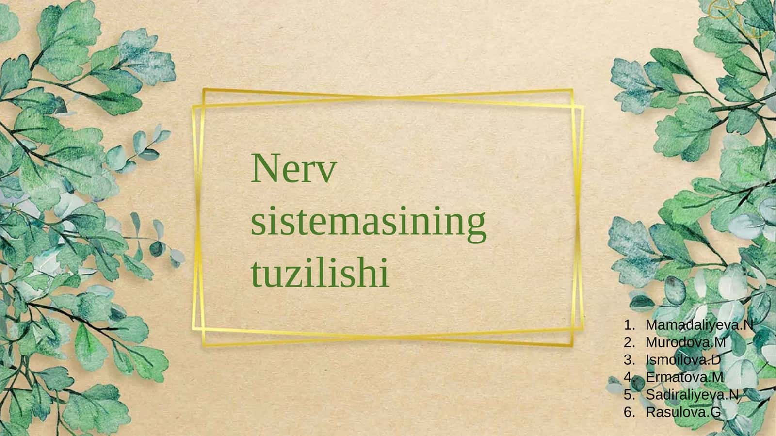 Nerv sistemasining tuzilishi 1