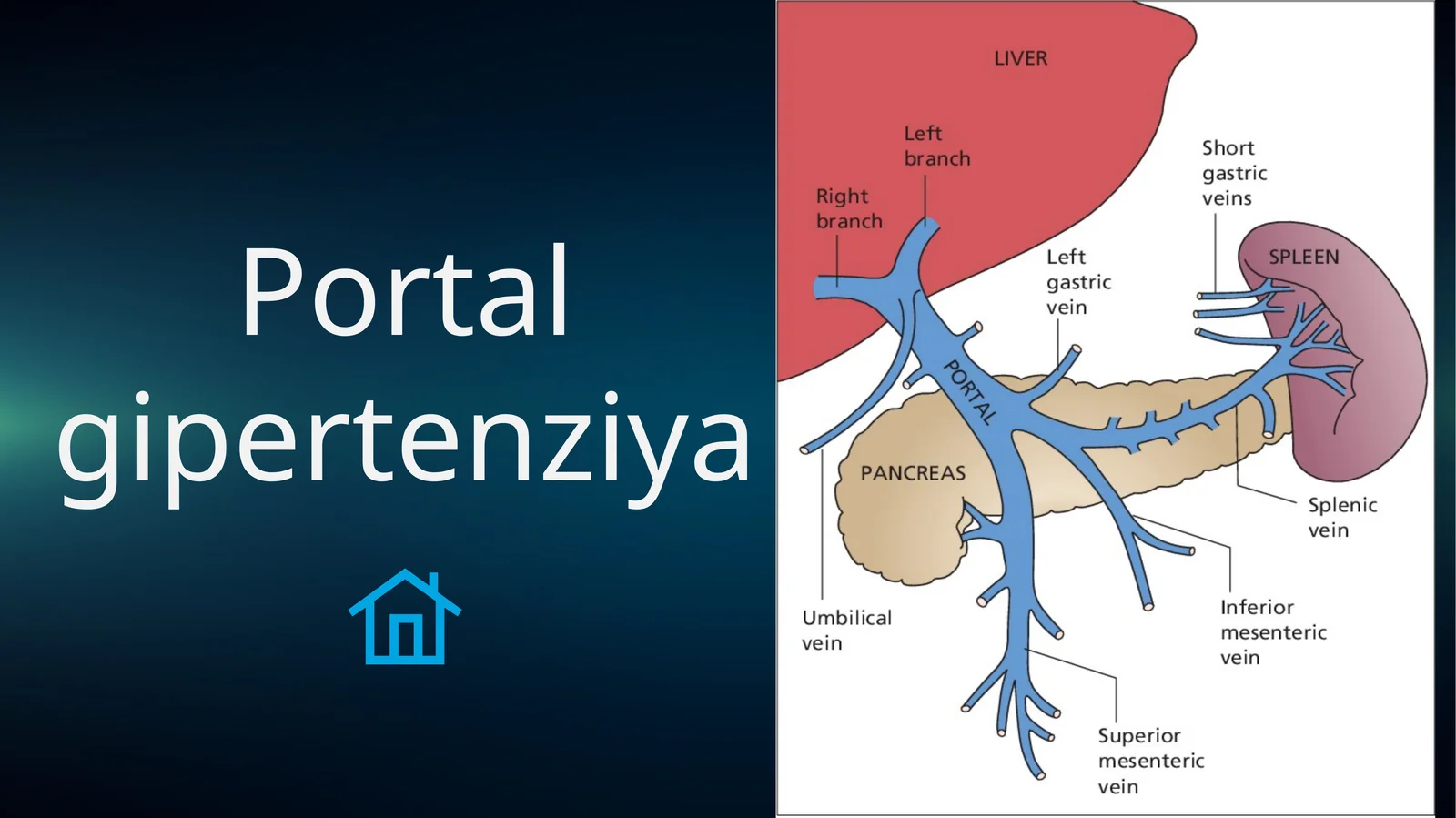 Portal Gipertenziya 1