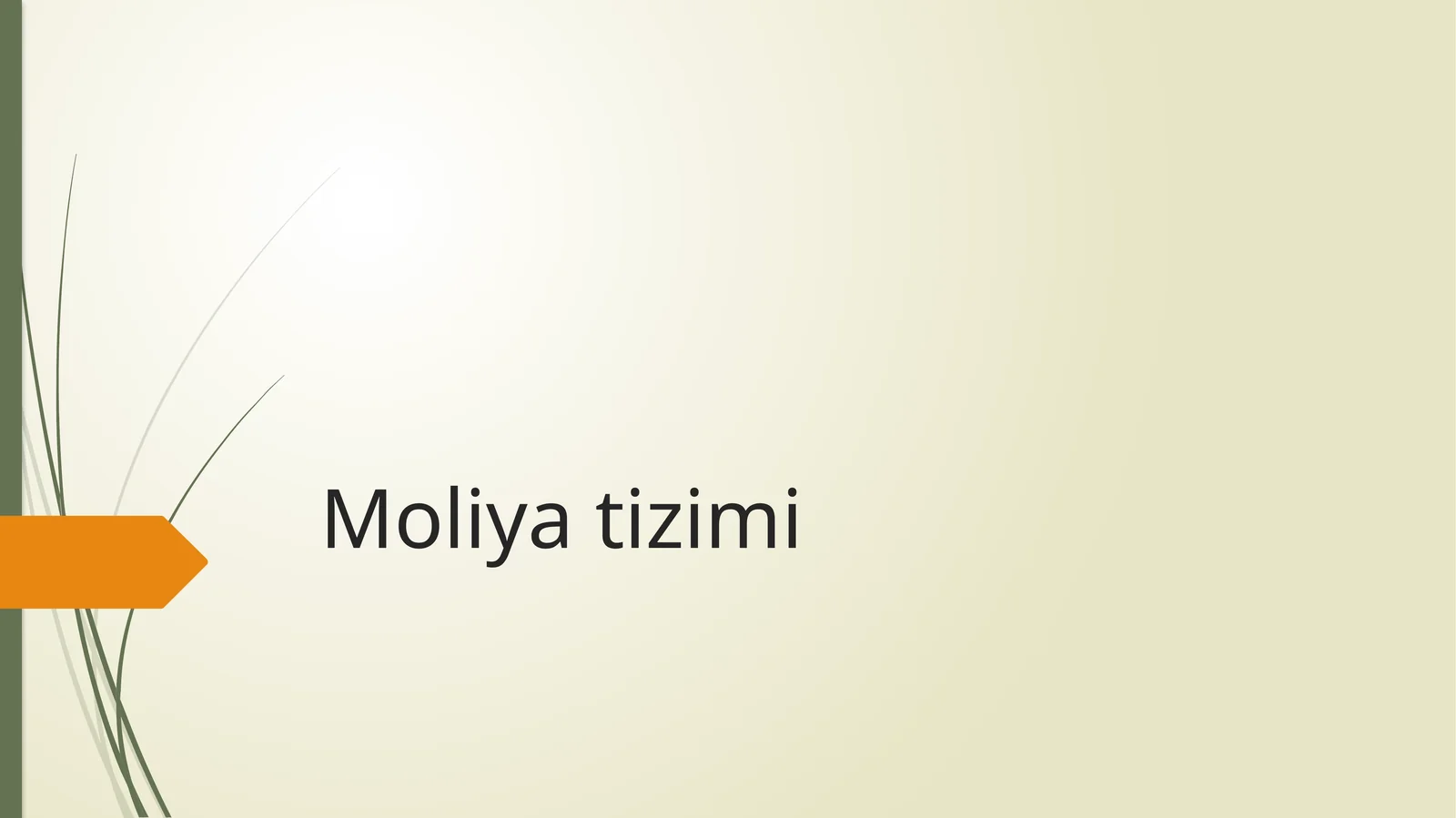 Moliya tizimi 1