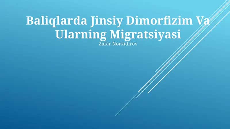 Baliqlarda Jinsiy Dimorfizim Va Ularning Migratsiyasi 1
