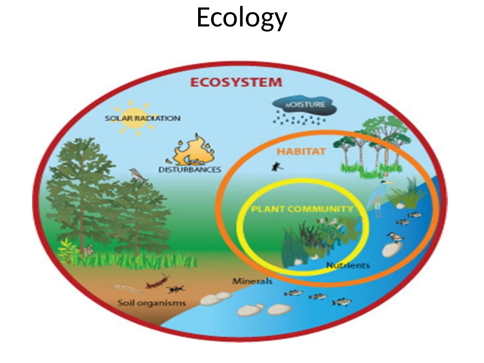 Ecology 1