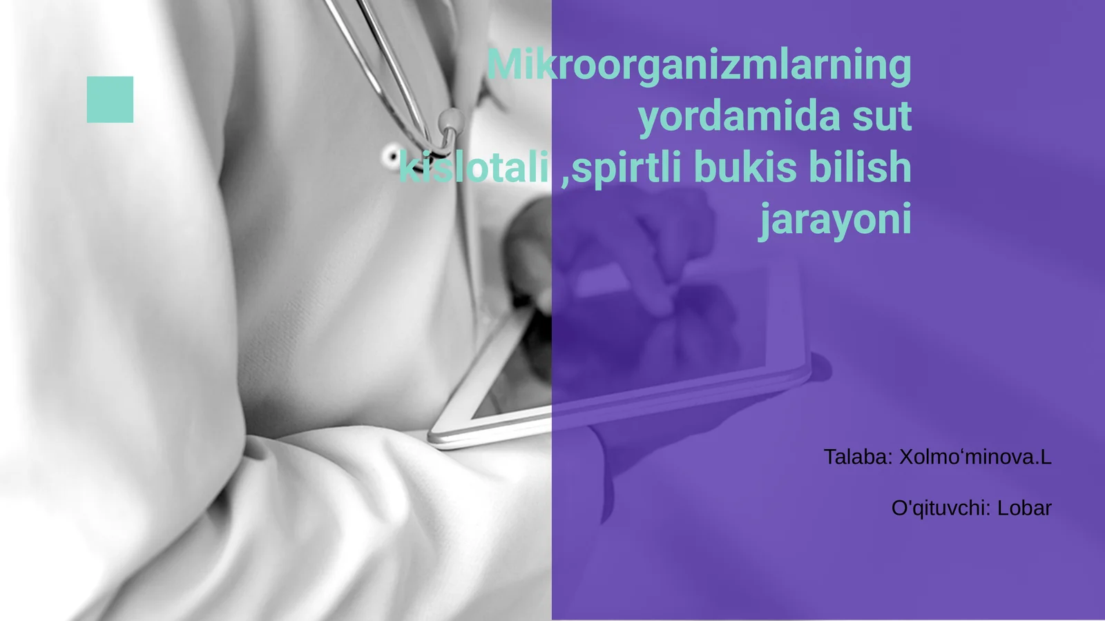 Mikroorganizmlar Yordamida Sut Kislotali va Spirtli Pishirish 1