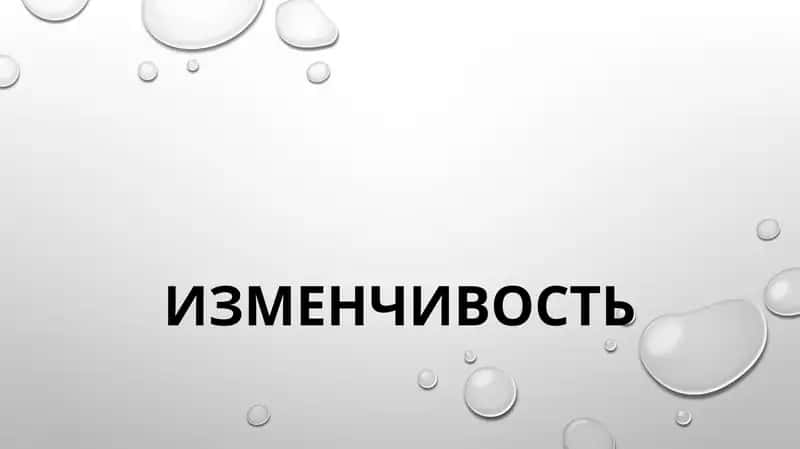 ИЗМЕНЧИВОСТЬ 1