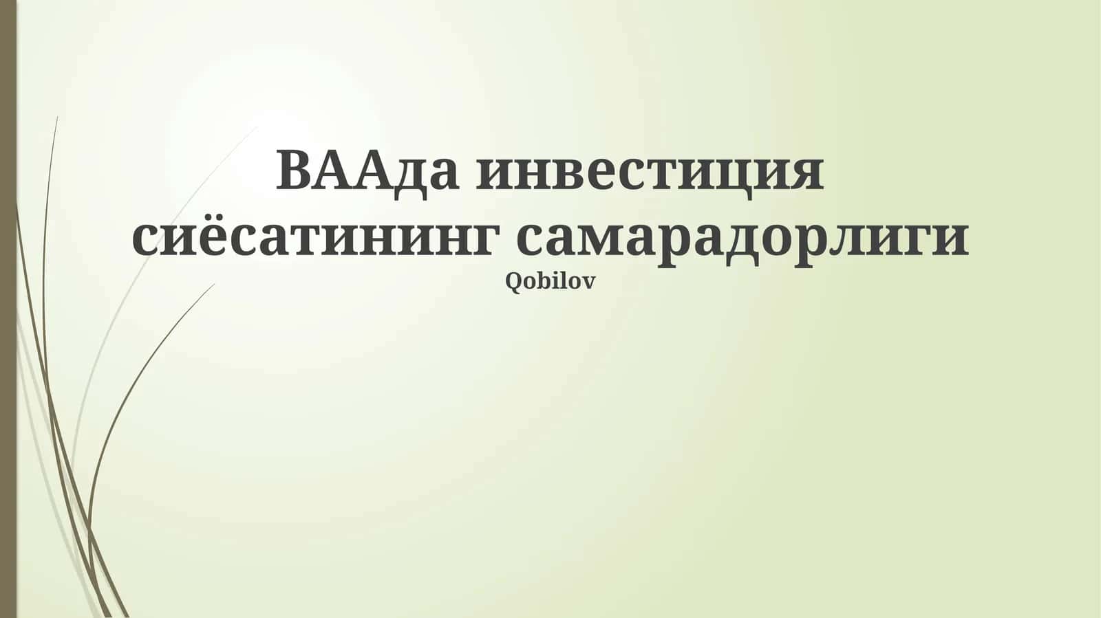 BAAда инвестиция сиёсатининг самарадорлиги 1